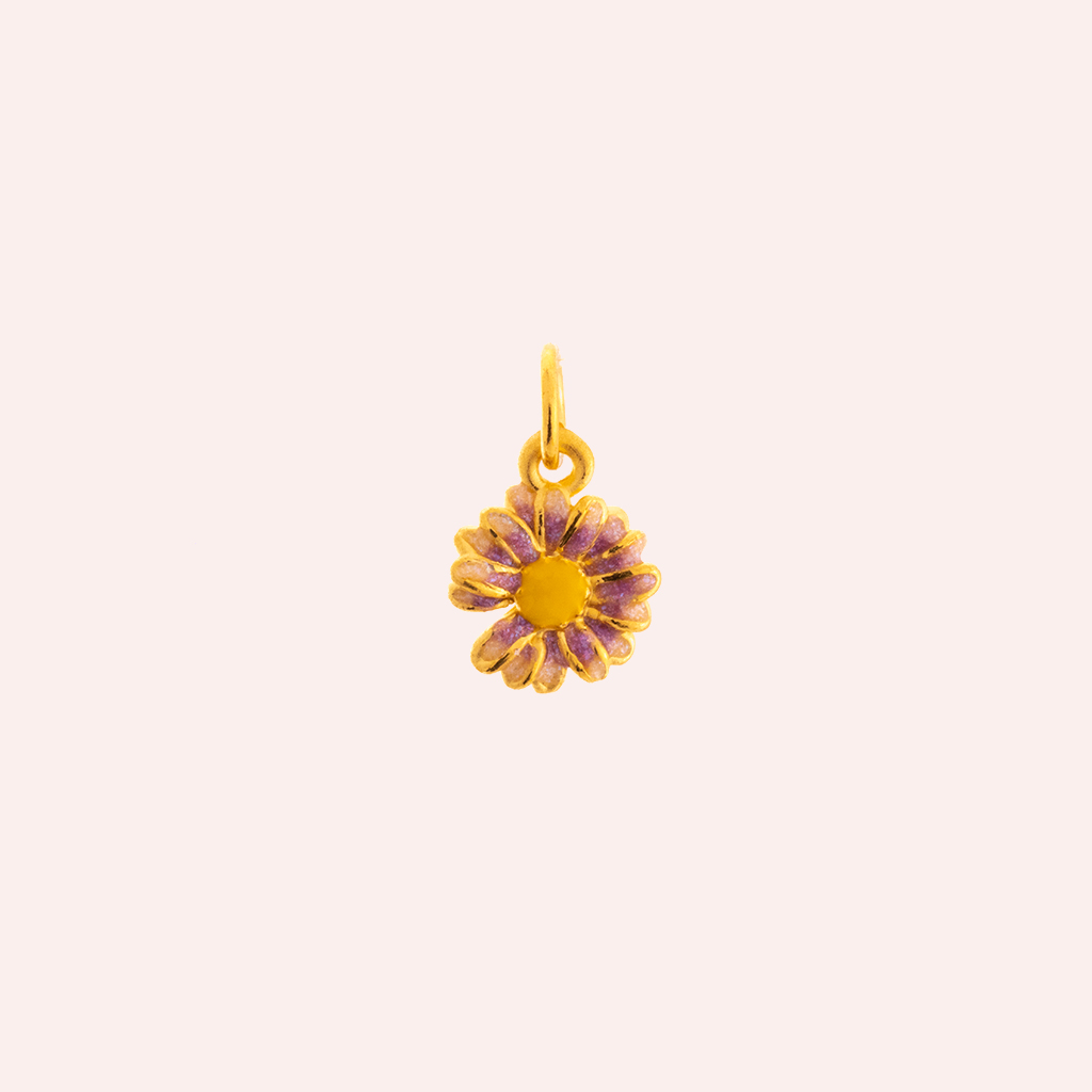 zoom jewelry picture