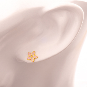 jewelry picture